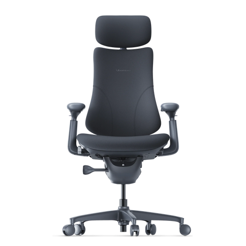 Scaun Ergonomic Dinamic Omni
