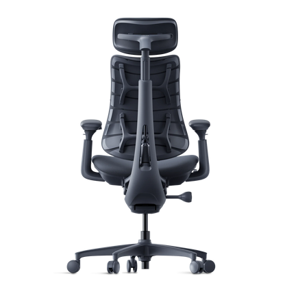 Scaun Ergonomic Dinamic Omni